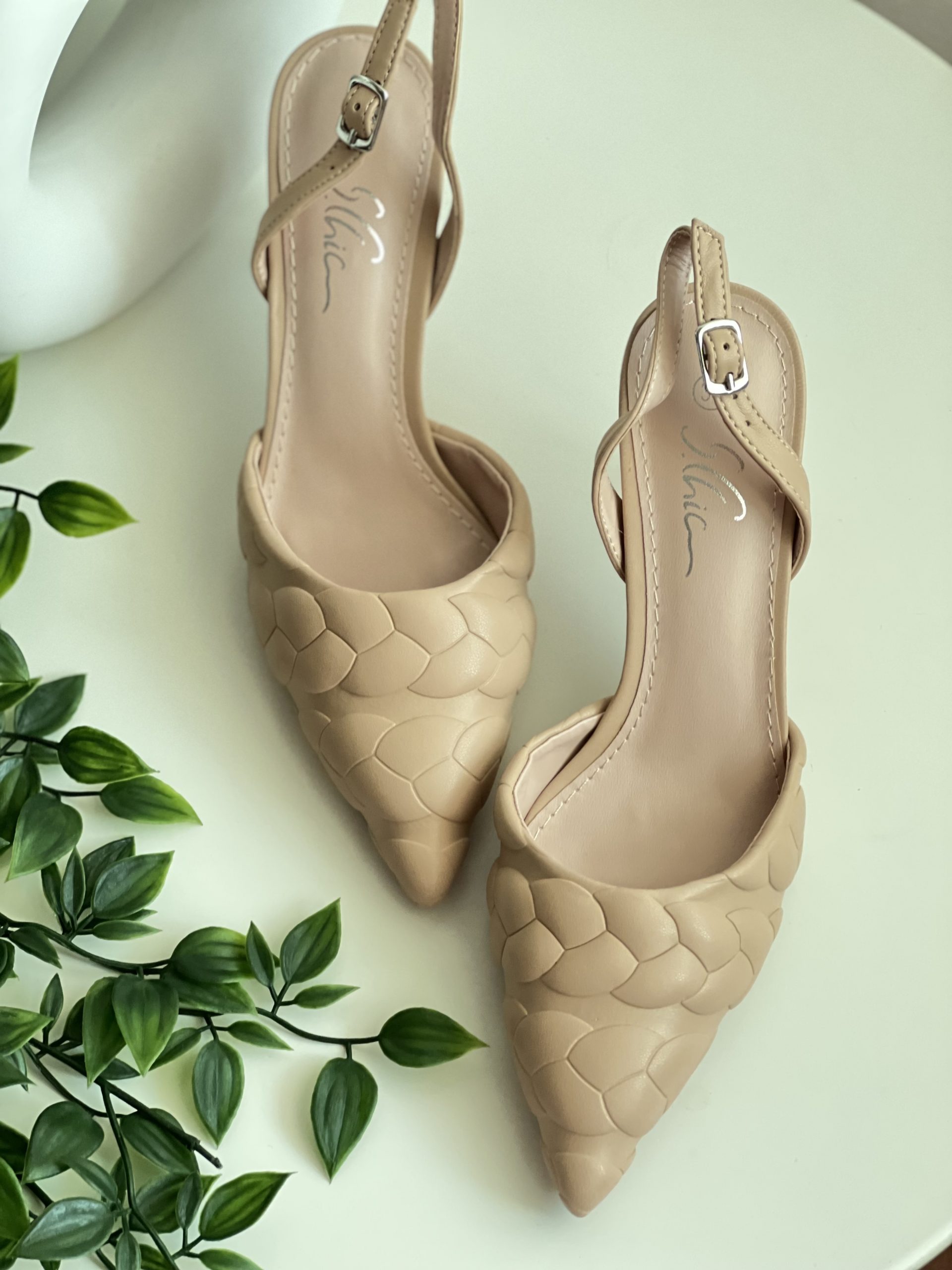 Photo 31-08-2022, 4 56 54 PM