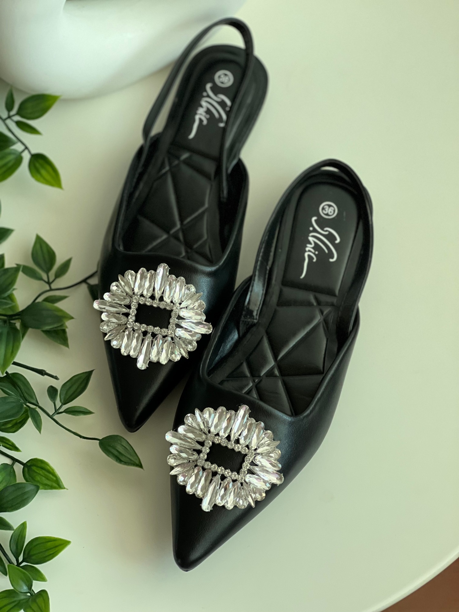 Photo 31-08-2022, 4 10 49 PM