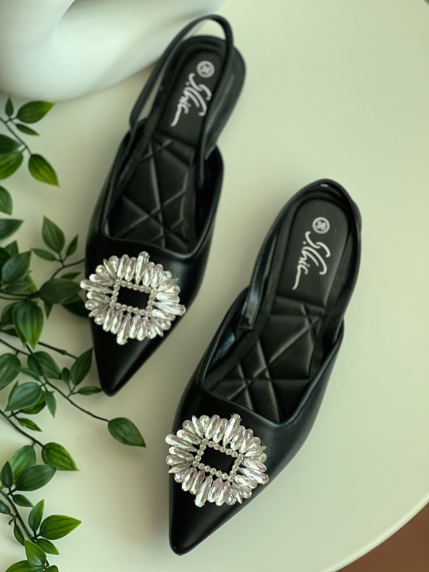 Photo 31-08-2022, 4 09 41 PM